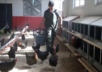 8 ayda 150 bin liralık ciro