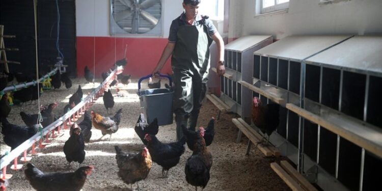 8 ayda 150 bin liralık ciro