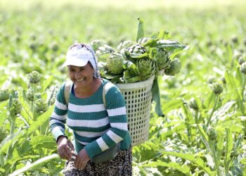 Tarım ve Orman Bakanlığı 3,6 milyon kadın çiftçiye eğitim verdi