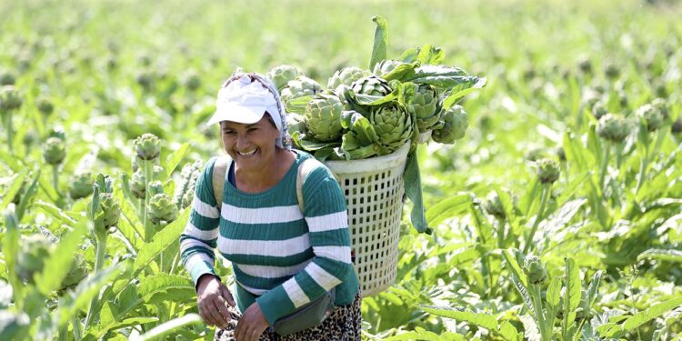 Tarım ve Orman Bakanlığı 3,6 milyon kadın çiftçiye eğitim verdi