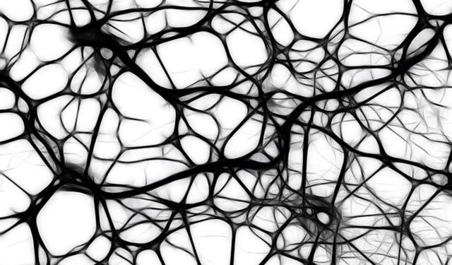 Laboratuvar üretimi beyinler oyun oynamayı öğrendi!