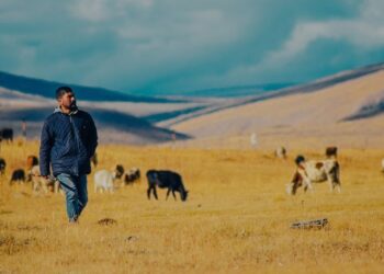 Film karesinden alınmış gibi