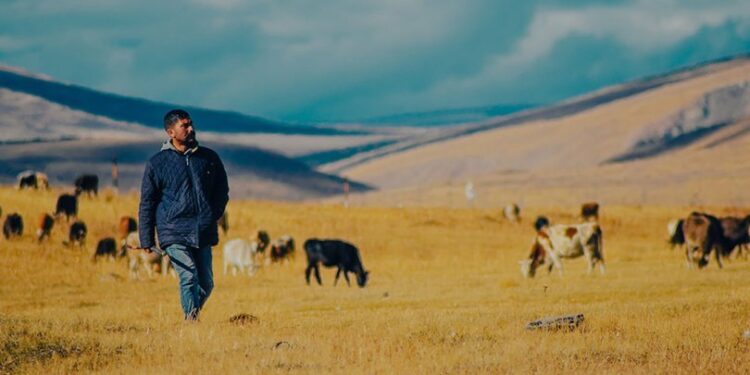 Film karesinden alınmış gibi