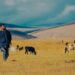 Film karesinden alınmış gibi