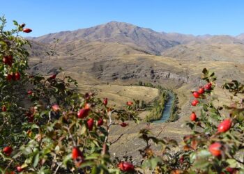 Bayburt’un ödüllü müzesinin çevresinde sonbahar