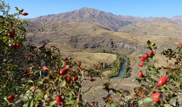 Bayburt’un ödüllü müzesinin çevresinde sonbahar