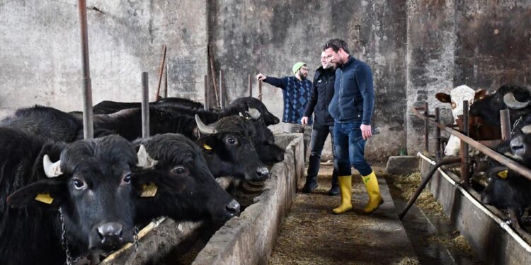 Manda Islahı projesiyle yetiştiricilere 11 yılda 225 milyon lira destek