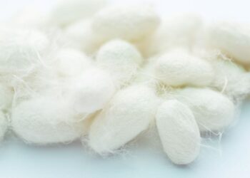 İpek böcekçiliği UNESCO Somut Olmayan Kültürel Miras Listesi’nde