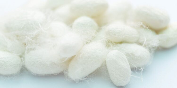 İpek böcekçiliği UNESCO Somut Olmayan Kültürel Miras Listesi’nde