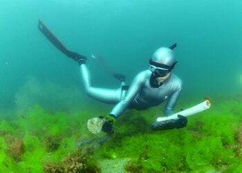 Şahika Ercümen kupayı denizden çıkardı