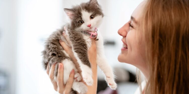 Kedilerin insanları dinlediği bilimsel olarak kanıtlandı