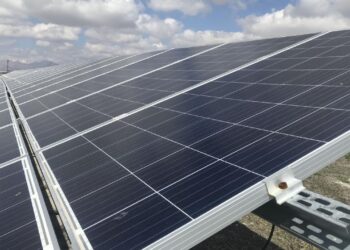 Küresel enerji istihdamında kadınlara en fazla güneş enerjisi sektöründe yer veriliyor