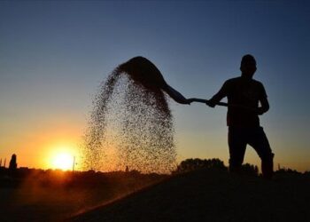 Tarım cebimde uygulaması yeni yılda hayata geçecek
