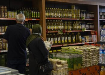 KoopBakkal Projesi başlıyor