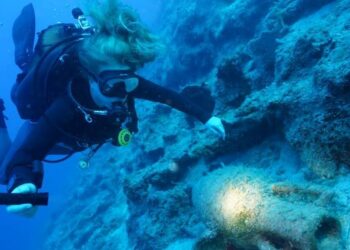 Antalya kıyılarında bulunan 14 gemi batığı su altı arkeologlarını heyecanlandırdı