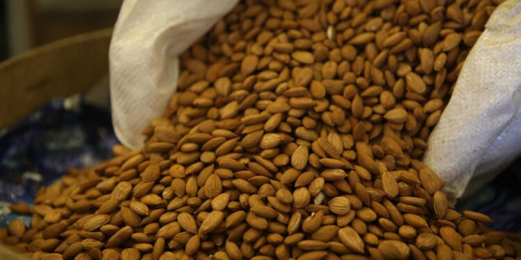 Kayısı çekirdeği ihracatından 14 milyon dolarlık gelir