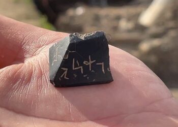 Amasra’daki kurtarma kazılarında tılsımlı damga mühür bulundu