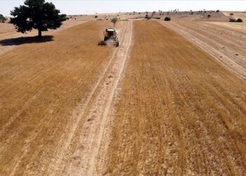 2,4 milyon dekar atıl alan tarıma kazandırıldı