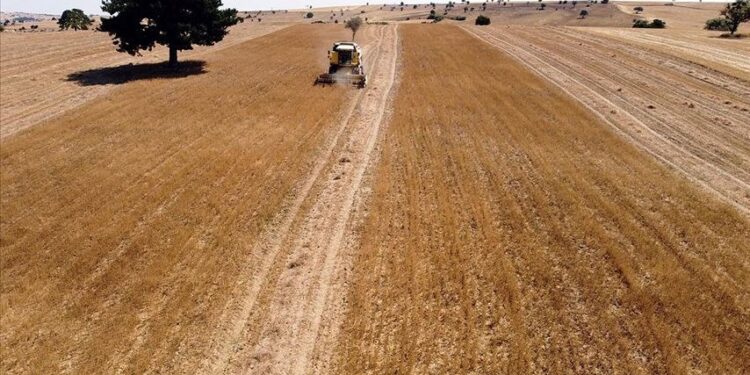 2,4 milyon dekar atıl alan tarıma kazandırıldı
