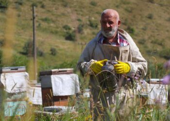 Görme engeline rağmen 37 yıldır arıcılık yapıyor