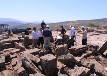 2.7 metre yüksekliğinde… “Dünyada başka örneği yok”