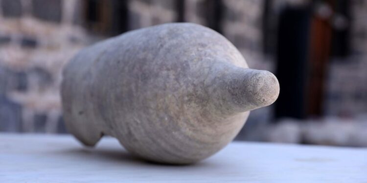 Bölgede nadir rastlanıyor… Diyarbakır’da önemli keşif