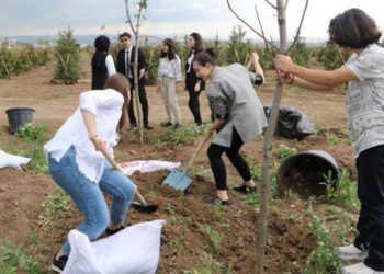 Gençlerden ’19 Mayıs-1919 Fidan’ projesi: Kendi harçlıkları ile finanse ettiler