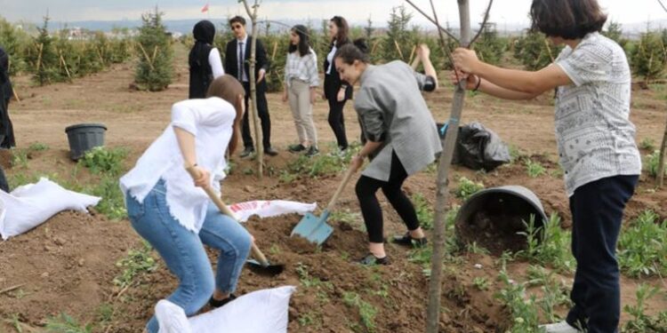 Gençlerden ’19 Mayıs-1919 Fidan’ projesi: Kendi harçlıkları ile finanse ettiler