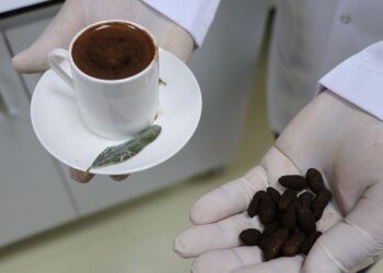 Zeytin çekirdeğinden Türk kahvesi ürettiler