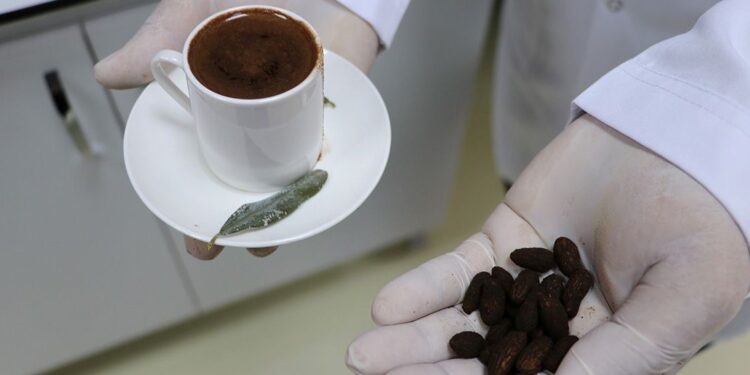 Zeytin çekirdeğinden Türk kahvesi ürettiler