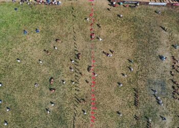 Tarihi Kırkpınar Yağlı Güreşleri artırılmış gerçeklik teknolojisiyle tanıtılacak