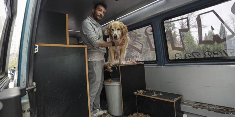 Dönüştürdüğü minibüsünde minik patileri tıraş ediyor