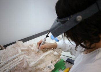 Zürafa ve gergedan fosilleri Kapadokya’nın geçmişine ışık tutacak