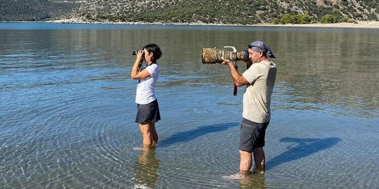Avrupa’nın en iri kartalı hangi ilimizde görüldü?