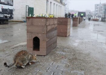 Geri dönüştürülen köprü malzemeleri bakın ne oldu!