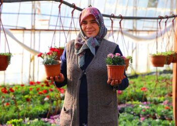 Muğlalı kadınlar üreterek güçleniyor: 3 serayı 30 seraya çıkardılar