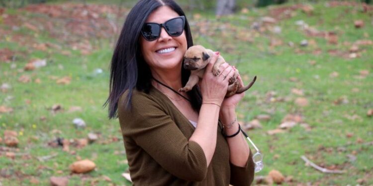 Karavanıyla sokak hayvanlarına sıcak yemek dağıtıyor