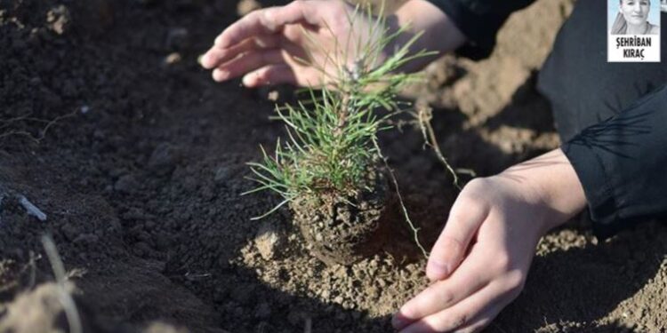 Opet’in ‘Kadın Gücü’ orman oluyor