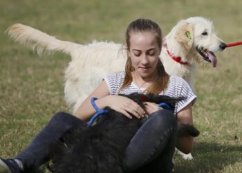 Bağcılar’da 136 sokak hayvanına yuva bulundu
