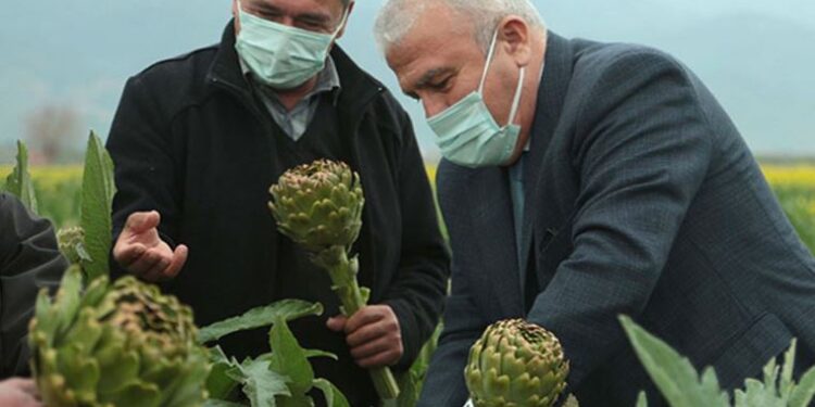 Efeler’in enginarı yavru vatana uzanacak