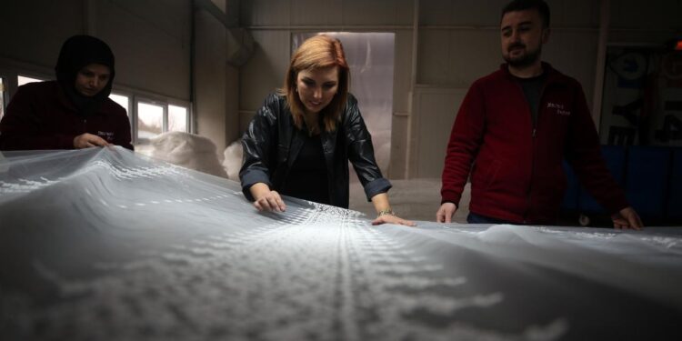 KOSGEB desteğiyle kurduğu fabrikasıyla ihracata hazırlanıyor