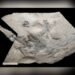 İskoçya’da fosili bulunan Jurassic Pterozorun dünyanın en büyüğü olduğu keşfedildi