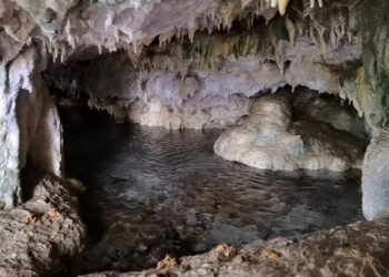 Hayvanlarını otlatırken binlerce yıllık mağara buldular