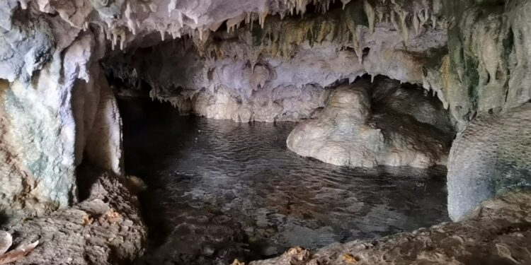 Hayvanlarını otlatırken binlerce yıllık mağara buldular