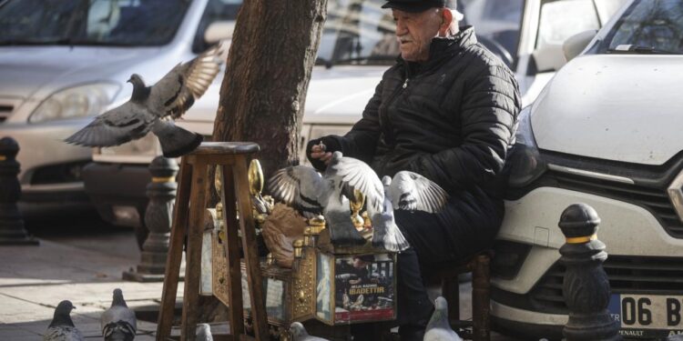 86 yaşındaki ayakkabı boyacısının en yakın arkadaşı güvercinler