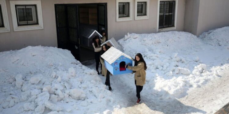 Öğrencilerden sevimli dostlara kulübe