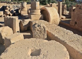 Yeni buluntularla Dara Antik Kenti’nin zeytin üretim ve ticaret merkezi olduğu ortaya çıktı