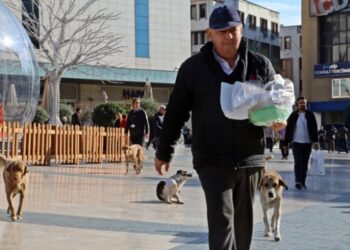 Emekli maaşının yarısını sokak hayvanlarına harcıyor