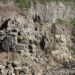 Bergama’da keşfedildi… 2 bin 500 yıllık!