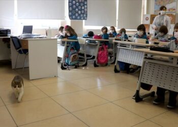 Öğrencilerin ‘can dostu’ oldu